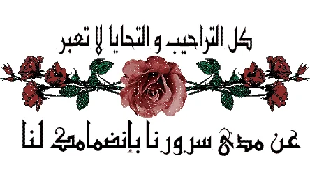 images-11.webp