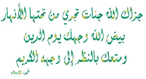 index.webp