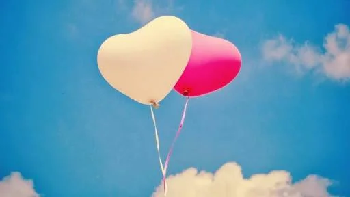 images (17).webp