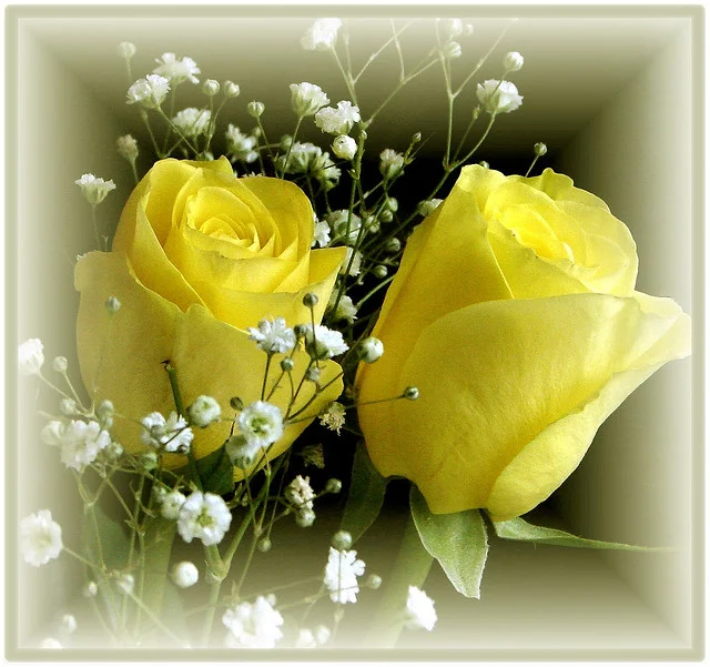 elmstba.com_1457060772_184.webp