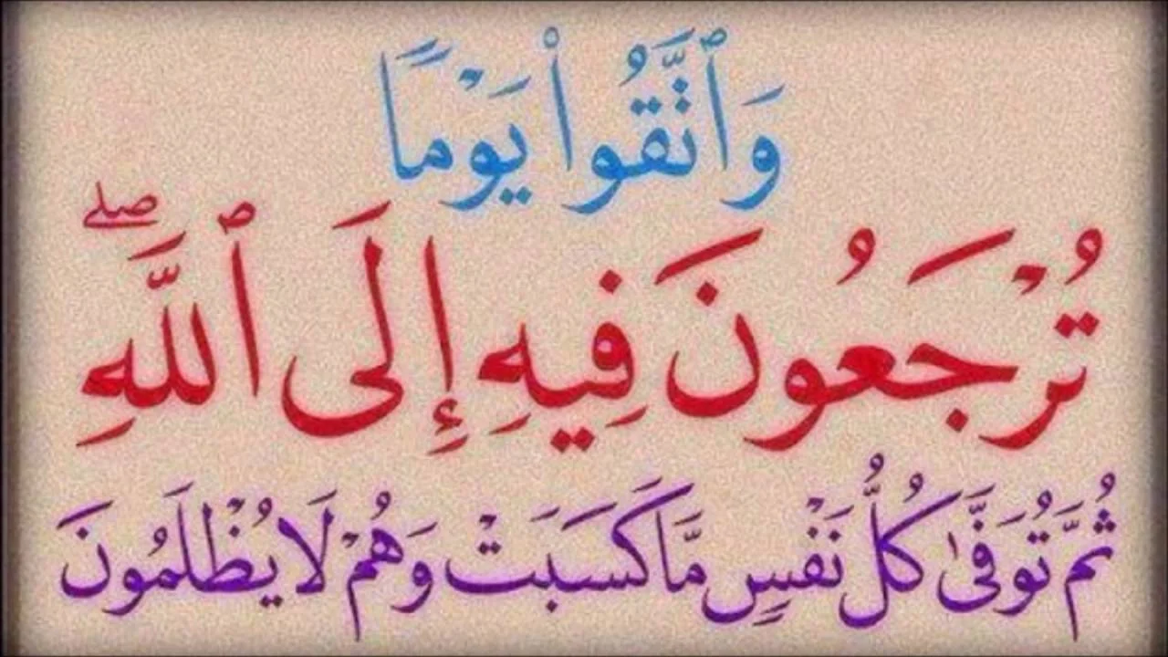 maxresdefault (1).webp