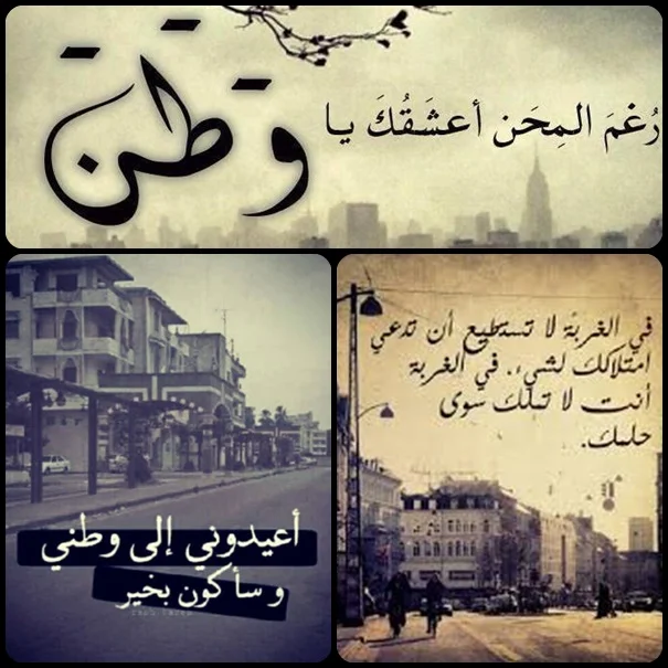 شيلة-الغربه-اللي-كوت-صدري-ما -دورت-غيري-انساني.webp