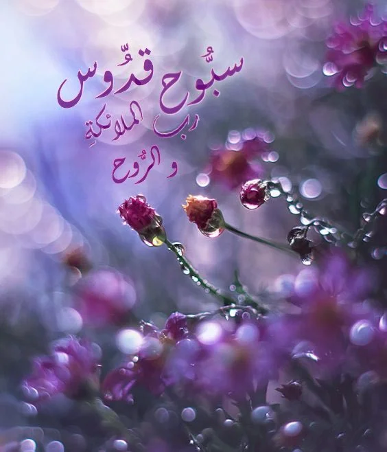 IMG_20170923_221109.webp