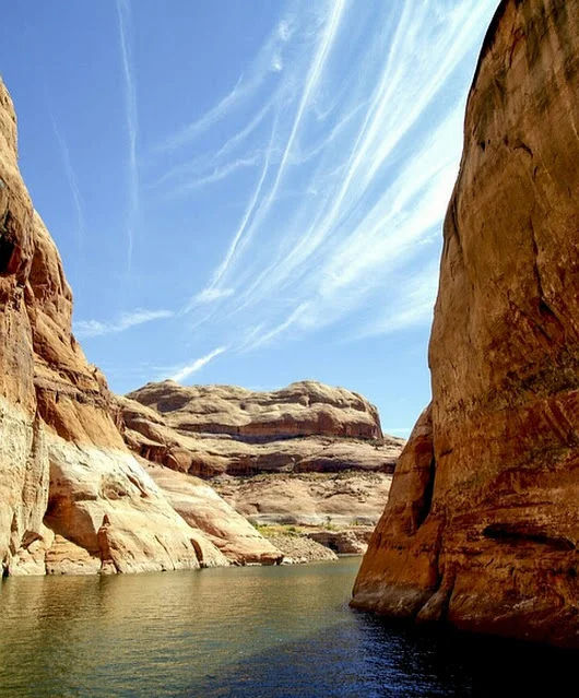 Image.webp