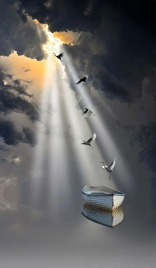 gplus1689168645.webp