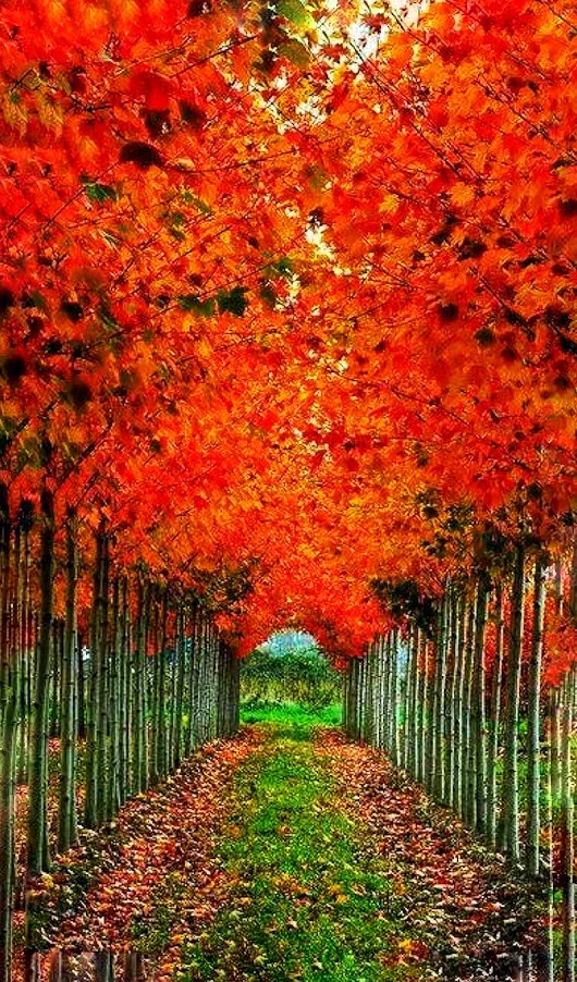 gplus591947345.webp