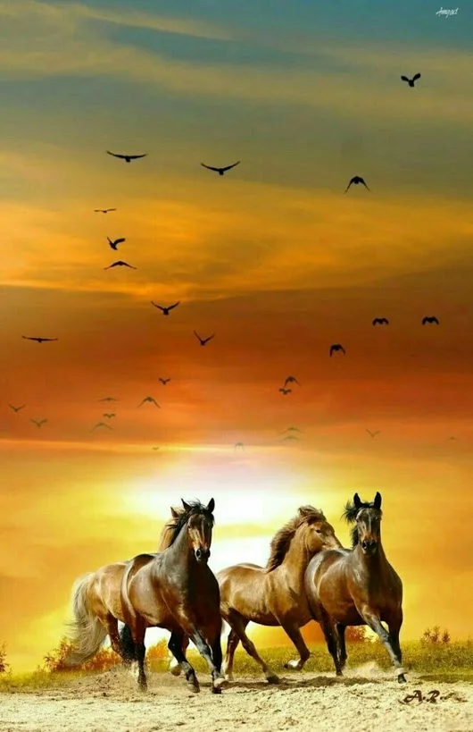 gplus827598400.webp