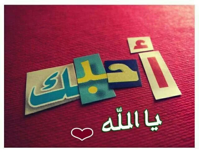 IMG_20171014_225539.webp IMG_20171014_225539.webp