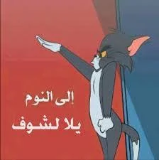 téléchargement (31).webp