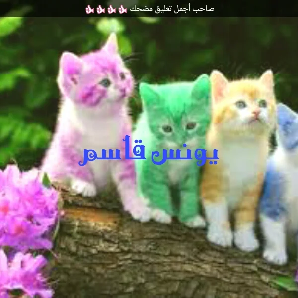 Square_19102017_162436.webp