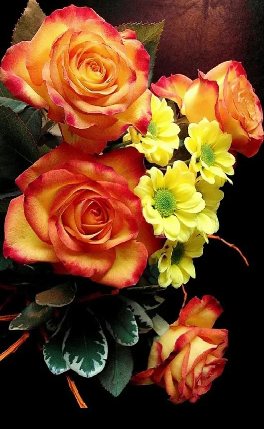 57682.webp