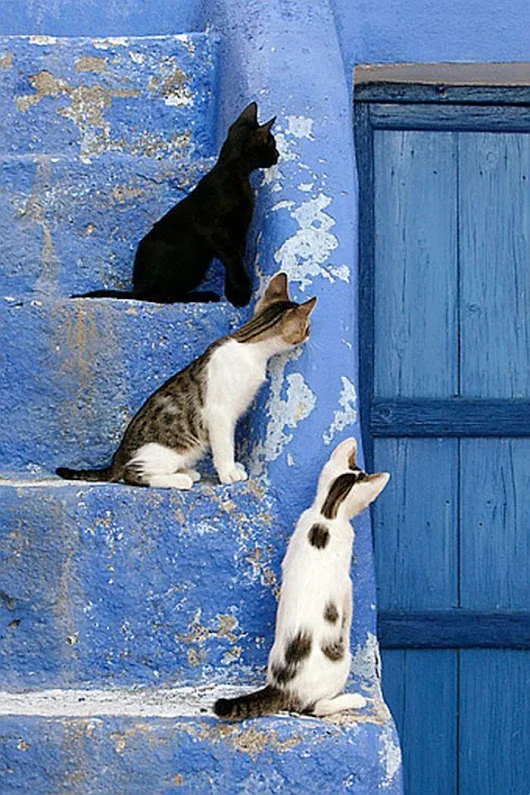 tumblr_ovid3gXpeu1tfgt7io1_1280.webp