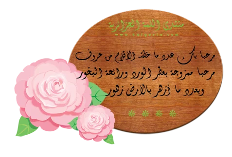 عبارة-07.webp