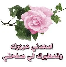 تنزيل (5).webp