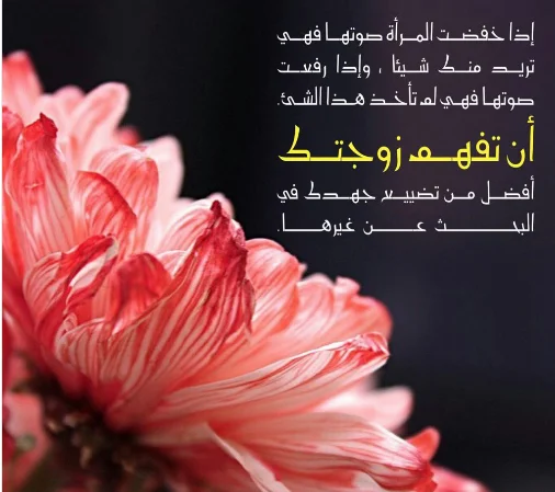 Screenshot-2017-10-23 مودة ورحمة ( marriages1) Twitter.webp