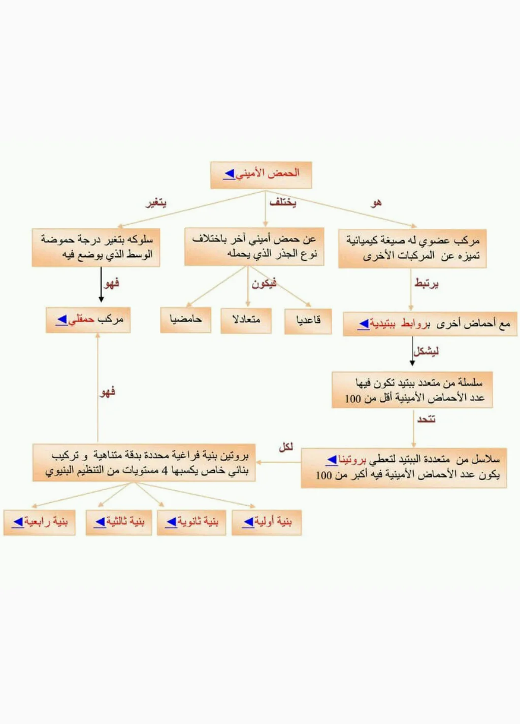 Screenshot_2017-10-31-10-07-01.webp
