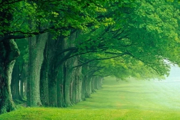 564351.webp