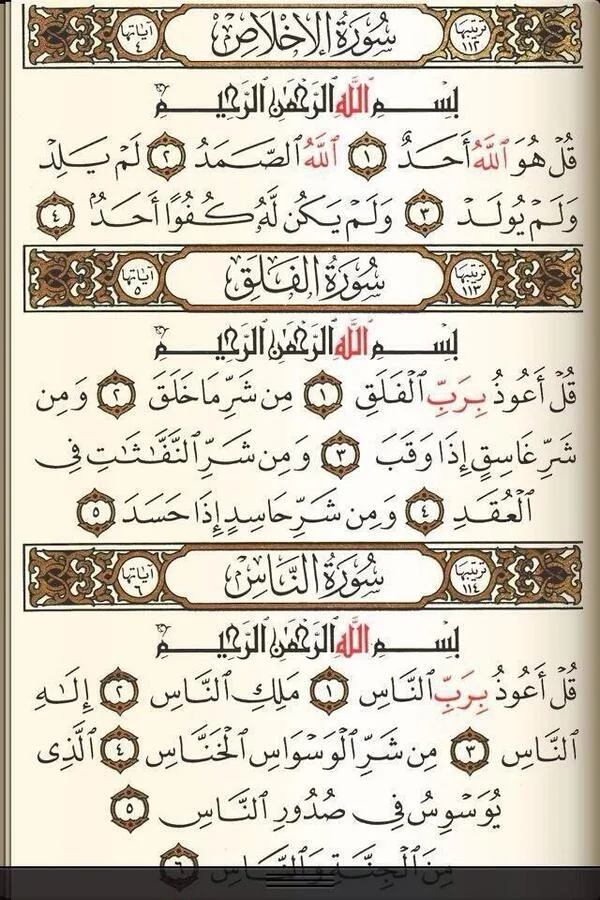 BVM_x40IUAApP4s.webp