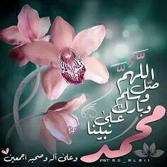 IMG-20171124-WA0017.webp