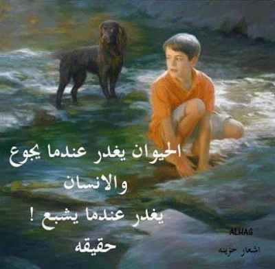 1bfb5_da37.webp