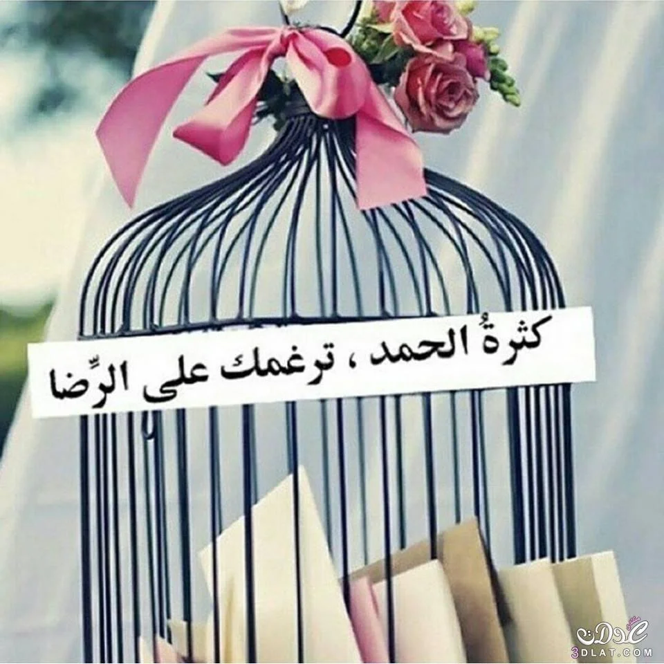 3dlat.com_27_2014)11ثثثث.webp