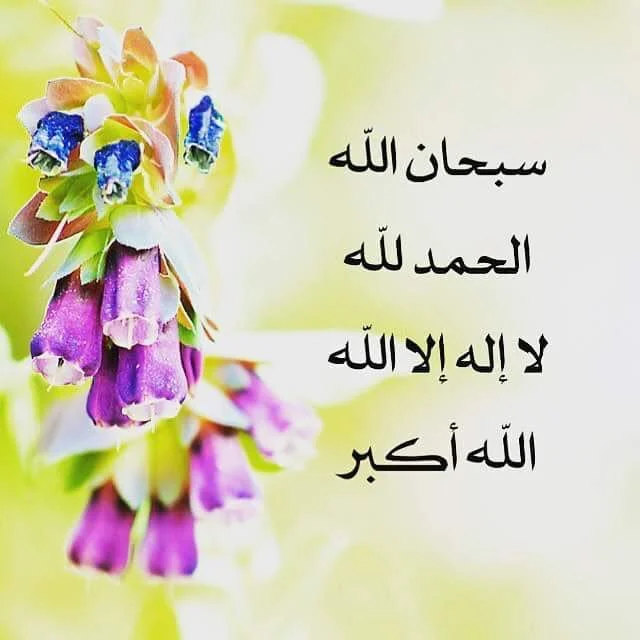 IMG_20171125_115450_820.webp