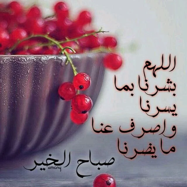 C-jTjKQWAAAKNAU.webp