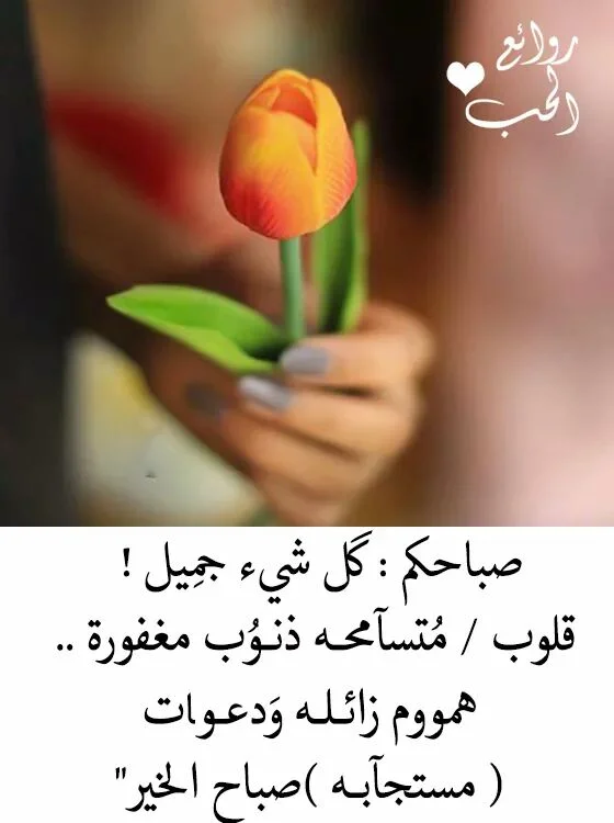 IMG-20171129-WA0000.webp