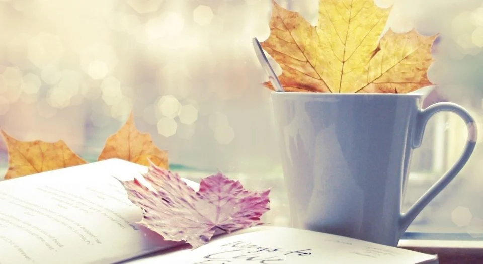 book_and_tea_cup-wallpaper-960x600-960x525.webp