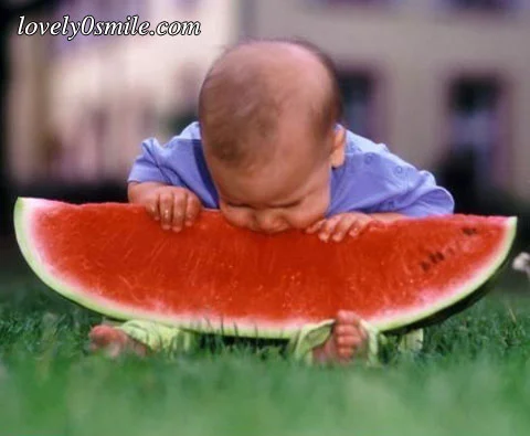 صور طريفه12.webp