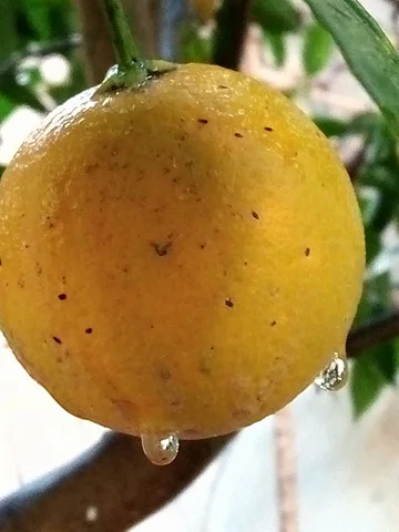 25465760_404990889918055_2068076642_n.webp 25465760_404990889918055_2068076642_n.webp