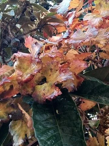 25465815_404990969918047_1202005211_n.webp 25465815_404990969918047_1202005211_n.webp