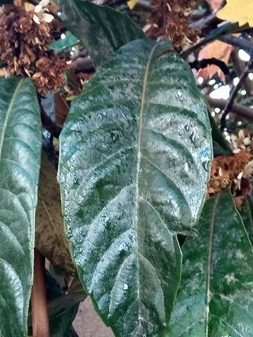 25465910_404990989918045_2096016836_n.webp 25465910_404990989918045_2096016836_n.webp