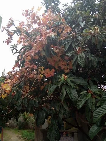 25465911_404992506584560_2071733542_n.webp 25465911_404992506584560_2071733542_n.webp