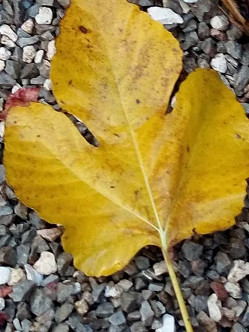 25488730_404990923251385_551111779_n.webp 25488730_404990923251385_551111779_n.webp