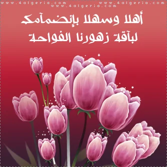 عبارة-09.webp