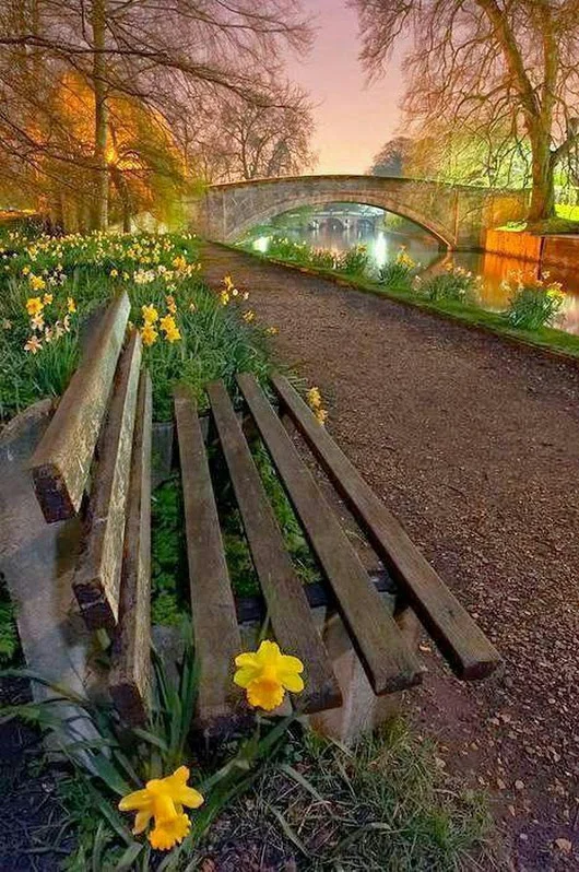 56894100.webp 56894100.webp