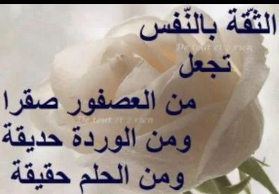 3ABNkI_m.webp