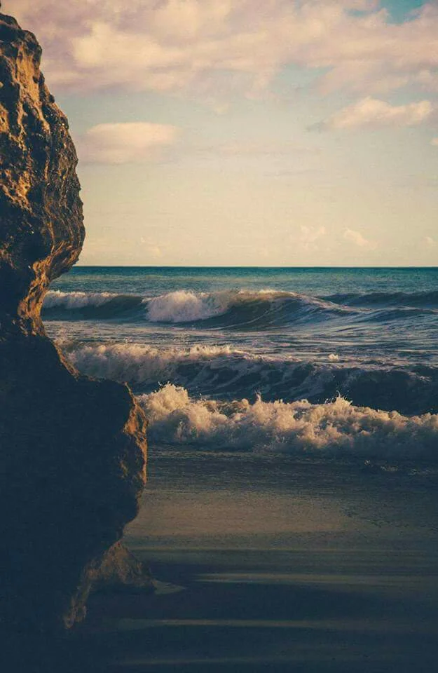 HZ5CDBfvNp.webp HZ5CDBfvNp.webp