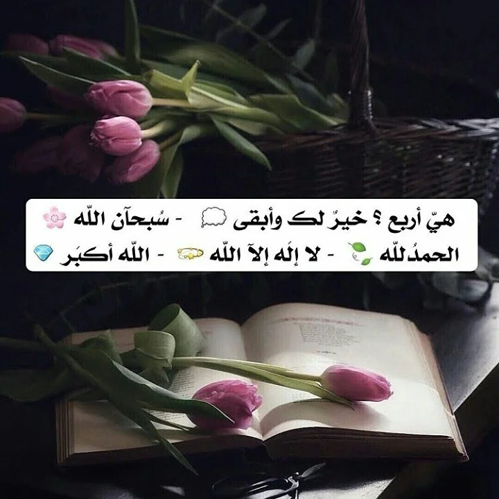 tumblr_p3zrl3nGI41snws6zo1_1280.webp