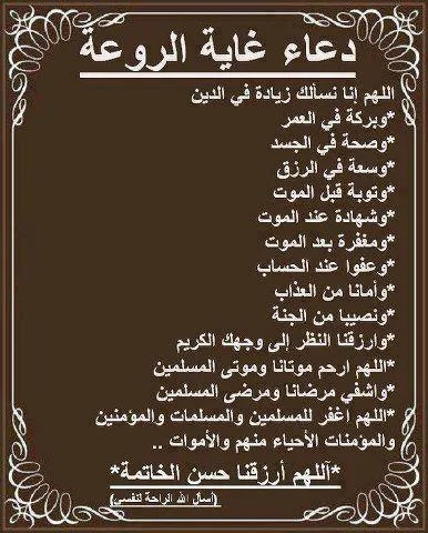 1519034219731.webp