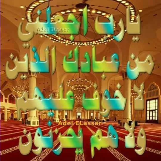 1519044464914.webp