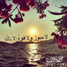 images (6).webp