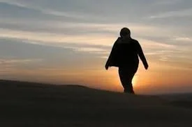 imgres.webp imgres.webp