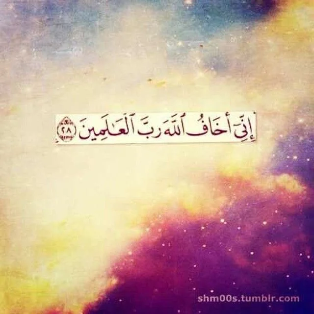 1b380020aa644c9bcdc370285a14e722.webp