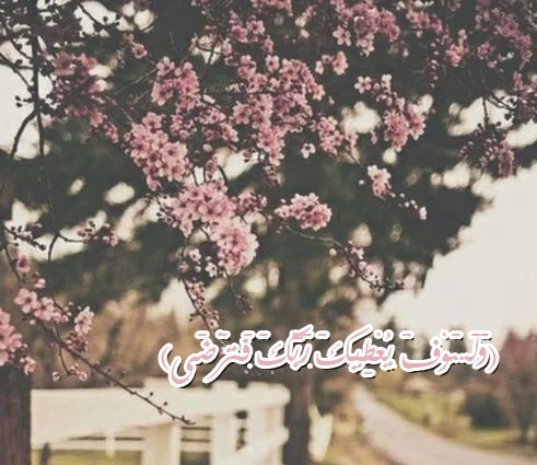 توكلي 3.webp