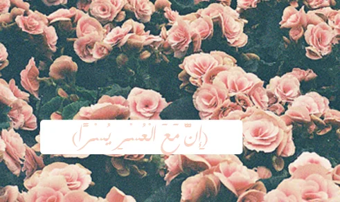 226506495.webp