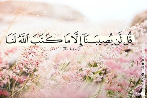 tumblr_mjt46kxWpU1qapk2qo1_500.webp