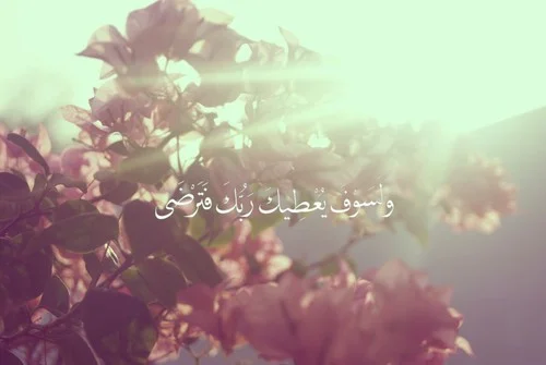 tumblr_mwhrrtofNN1qmec5no1_500.webp