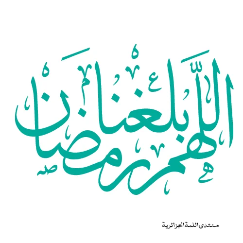 فرش ب.webp
